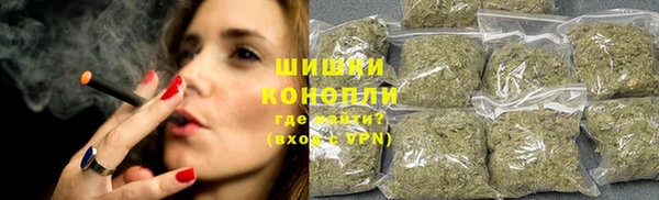 стафф Новокубанск