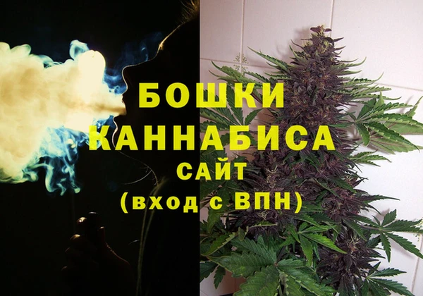 СК Няндома