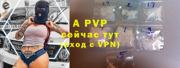 стафф Новокубанск