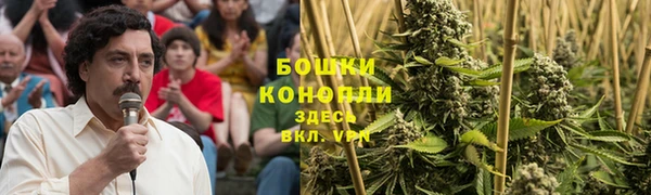 первитин Новозыбков