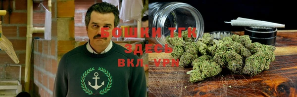 СК Няндома