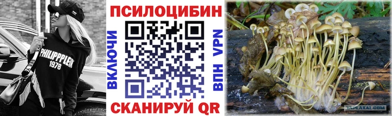 hydra ONION Торжок Псилоцибиновые грибы Magic Shrooms