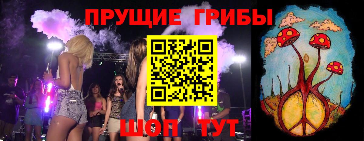 Торжок  Псилоцибиновые грибы Magic Shrooms  Вход с VPN 